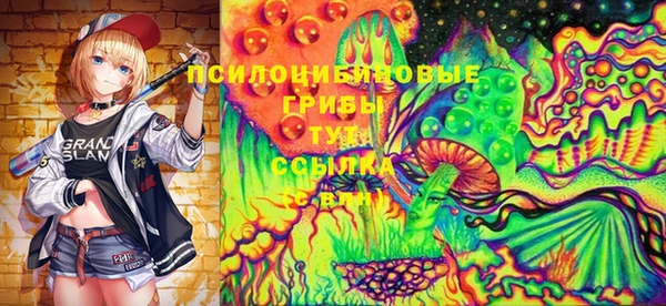 ПСИЛОЦИБИНОВЫЕ ГРИБЫ Ладушкин