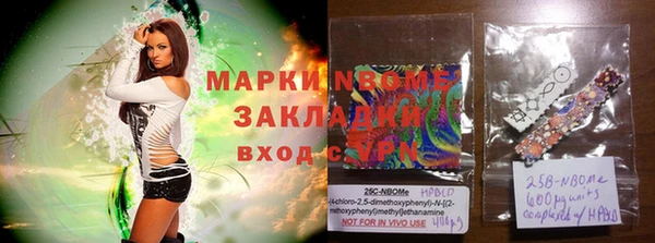 стаф Лабытнанги