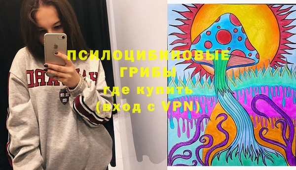ПСИЛОЦИБИНОВЫЕ ГРИБЫ Ладушкин