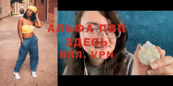 ПСИЛОЦИБИНОВЫЕ ГРИБЫ Ладушкин