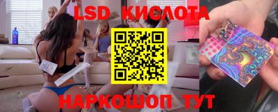 гидра Будённовск