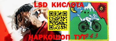 гидра Будённовск