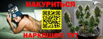 гидра Будённовск