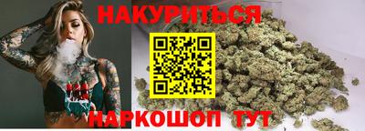 гидра Будённовск