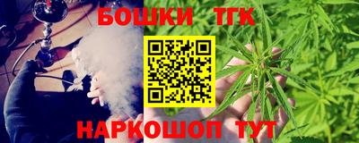 гидра Будённовск